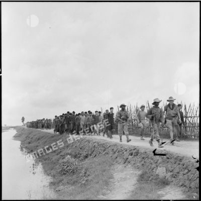 Acheminement de prisonniers viêt-minhs, encadrés par les soldats français, vers les lignes arrirère.