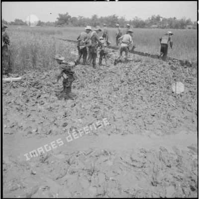 Progression difficile dans la boue des rizières.