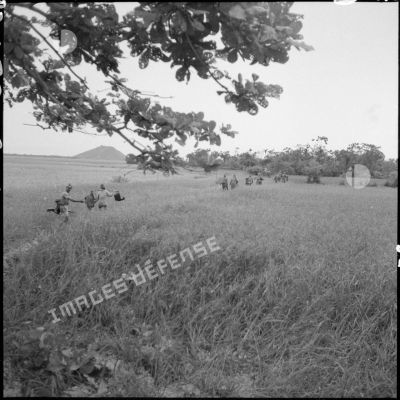 Progression d'un groupe de soldats au milieu des herbes hautes.