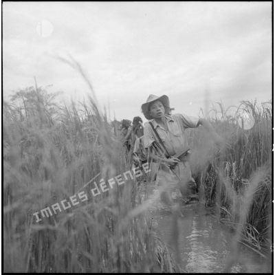 Un soldat vietnamien avance dans l'eau au milieu d'herbes hautes.