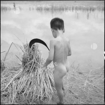 Enfant nu, une faucille à la main à côté d'un fagot de paille de riz.