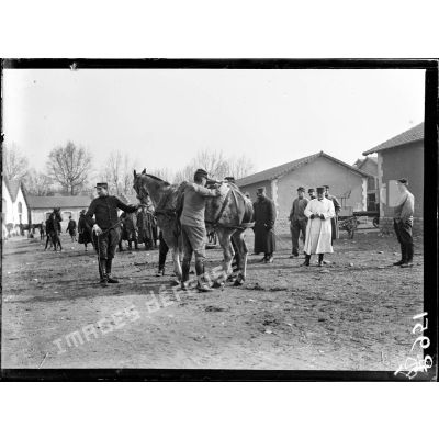 Lyon. Dressage des chevaux canadiens (méthode du Lieutenant Dumas du 54e d'artillerie). Le cheval est bridé. [légende d'origine]