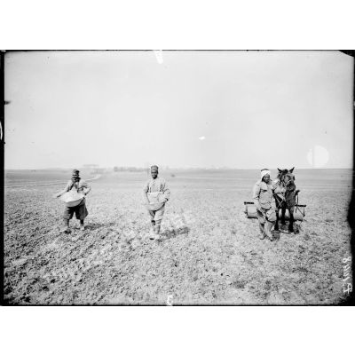 Boutigny (Eure et Loir). Ferme de Cloche. Tunisiens semant l'engrais sur les champs de blé de printemps. [légende d'origine]