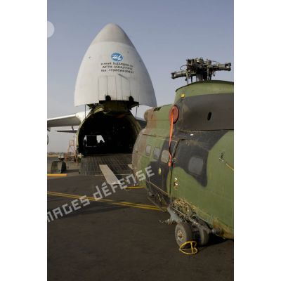 Chargement d'un hélicoptère Puma SA-330 du 5e régiment d'hélicoptères de combat (RHC) dans la soute d'un avion-cargo Antonov An 124-100 sur le tarmac de l'aéroport de Bamako, au Mali.