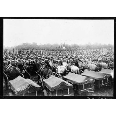 Plan général des troupes polonaises alignées lors de la cérémonie militaire, les soldats sont photographiés de dos.