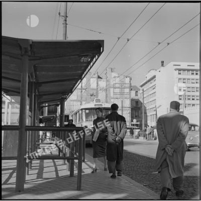Vue d'une station de tramway place du Gouvernement, Alger.