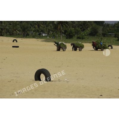Vie quotidienne à Abidjan. Des hommes tirent des chariots loudement chargés de végétation sur le sable.