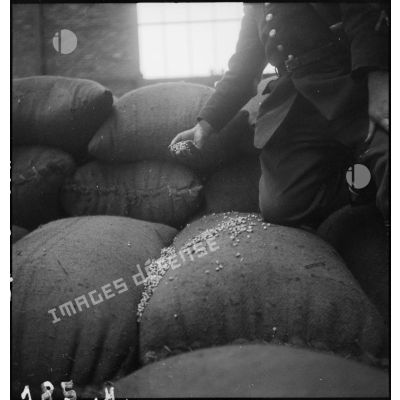 Cargaison de sacs de grains, probablement destinée à l'ennemi et saisie dans le cadre du blocus contre l'Allemagne sur un navire marchand neutre.