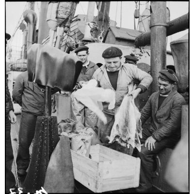 Chargement d'un stock de morues séchées à bord du chalutier de la marine marchande Roche noire, réquisitionné et armée par la Marine nationale comme dragueur de mines auxiliaire.