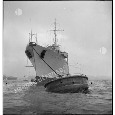 Proue d'un contre-torpilleur d'une escadre légère au mouillage dans la rade de Brest.