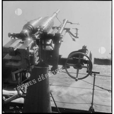 Canon de 37 mm antiaérien à bord du contre-torpilleur Guépard.