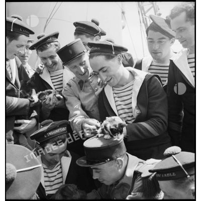 Fraternisation entre marins du contre-torpilleur L'Indomptable et légionnaires du 1er régiment étranger d'infanterie (REI) à bord du navire.