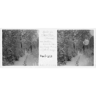 Forêt de Souilly (Meuse). Un sentier dans le bois des Cinq-Frères. Effet de neige. L. C. - 9-1-1918. [légende d'origine]