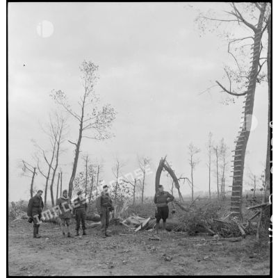 Officiers britanniques et français devant un arbre observatoire utilisé par l'armée allemande.