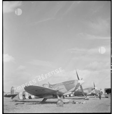 Des Spitfire MK IX du Wing 145 stationnent sur un terrain d'aviation belge.