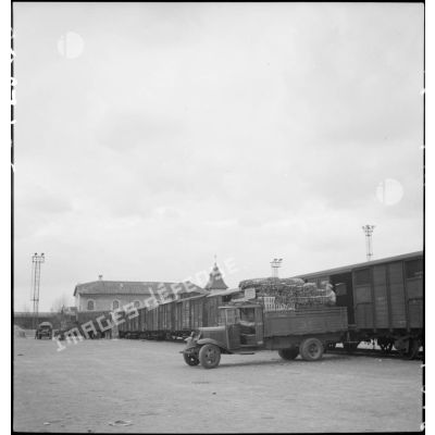 Plan général d'une opération de transbordement : des camions  garés prés des portes de wagons de marchandises sont chargés de produits alimentaires.
