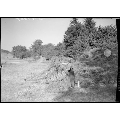 Un soldat camoufle une pièce d'artillerie avec du foin à l'orée d'un bois.
