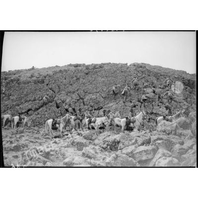 Un peloton de cavaliers druzes après avoir laissé leur monture gravissent une pente rocheuse.
