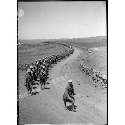Une colonne du 17e RTS marche sur une piste du Djebel Druze.