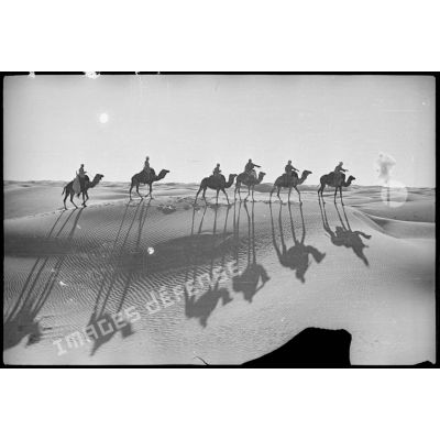Des méharistes d'une compagnie des oasis sahariennes patrouillent dans le désert.