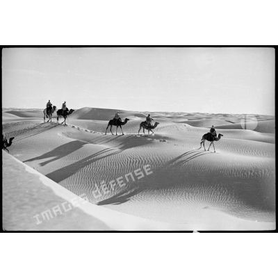 279. Des méharistes d'une compagnie des oasis sahariennes patrouillent dans le désert.