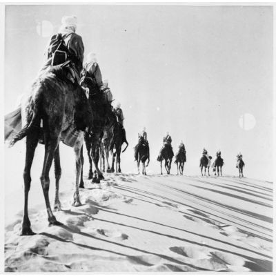 Des méharistes d'une compagnie des oasis sahariennes patrouillent dans le désert.