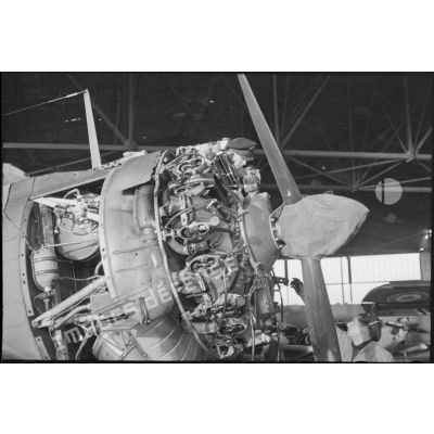 Maintenance du moteur d'un bombardier en piqué Douglas SBD-5 Dauntless d'une flottille de l'aéronautique navale sur la base de Cognac.