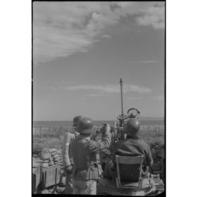 En Crète, des servants allemands d'une pièce de DCA légère de 2 cm FlaK.