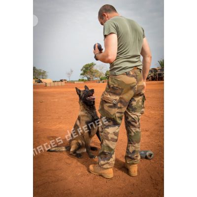 Caiser, un des chiens de la plateforme opérationnelle de défense de Bambari, joue à son jeu favori avec son maître.