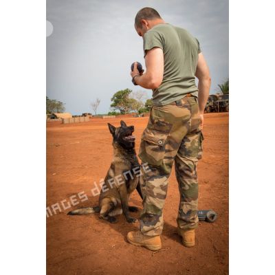 Caiser, un des chiens de la plateforme opérationnelle de défense de Bambari, joue à son jeu favori avec son maître-chien.