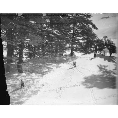 Des éclaireurs-skieurs libanais de la 3e DBL skient sur une pente du mont Liban.