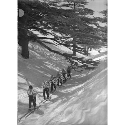 Des éclaireurs-skieurs libanais de la 3e DBL se déplacent à ski dans un talweg.