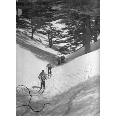 Des éclaireurs-skieurs libanais de la 3e DBL se déplacent à ski dans un talweg.