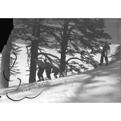 Des éclaireurs-skieurs libanais de la 3e DBL skient sur une pente du mont Liban.