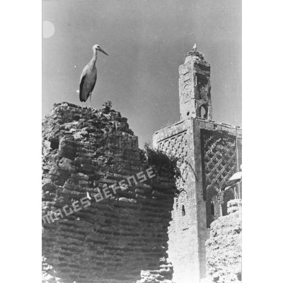 Plan moyen d'un minaret avec un nid de cigogne au sommet.