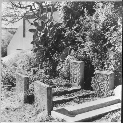 Plan moyen de tombes dans le cimetière du Chellah.