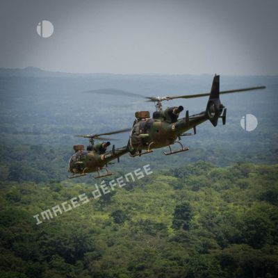 Deux hélicoptères Gazelle SA-342 M du SGAM (sous-groupement aéromobile) Barracuda armé par le 3e RHC, survolent la forêt centrafricaine pour une mission de vol de reconnaissance d'axe sur la MSR2 (main supply road n°2 ou route de ravitaillement principale n°2).