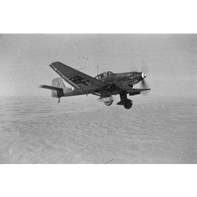 Bombardiers Junkers Ju-87 Stuka du Sturzkampfgeschwader 3 lors d'une mission au-dessus de l'Egypte.