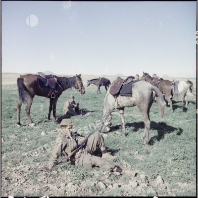 Des goumiers gardant les chevaux de leurs camarades effectuant la fouille d'un village.