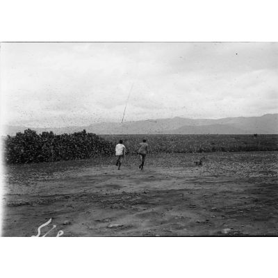 [Deux hommes malgaches courent au milieu d'un essaim de sauterelles.]