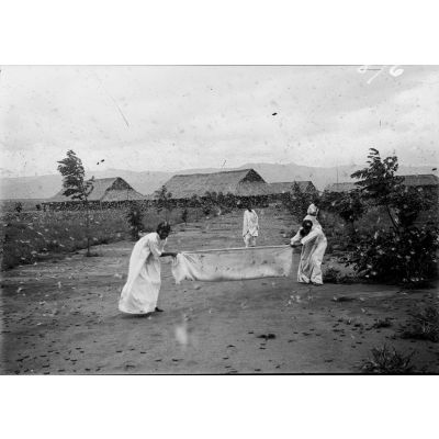 [Des femmes malgaches tentent de capturer des sauterelles à l'aide d'un drap.]