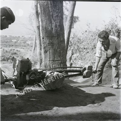 [Algérie, 1958-1961. Le tronçonnage d'un tronc.]