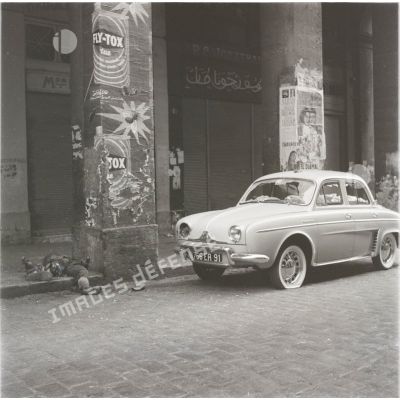 [Alger, 1956-1962.]