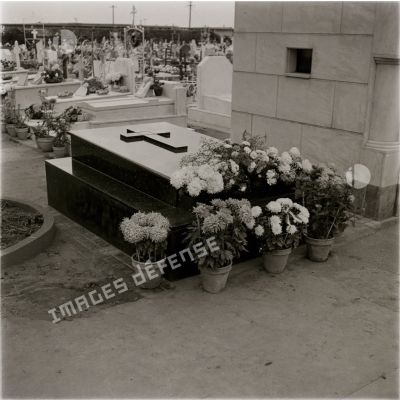 [Une tombe fleurie de chrysanthèmes dans un cimetière en Algérie, 1954-1962.]