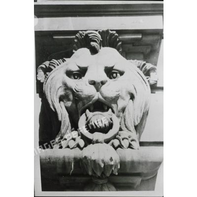 [Reproduction d'une photographie de mascaron repésentant une tête de lion, s. d.]