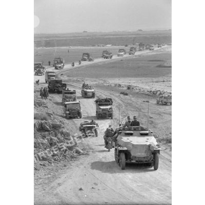 Une longue colonne de véhicules américains de prise mélangés à des matériels allemands de la 10-Panzer Division.