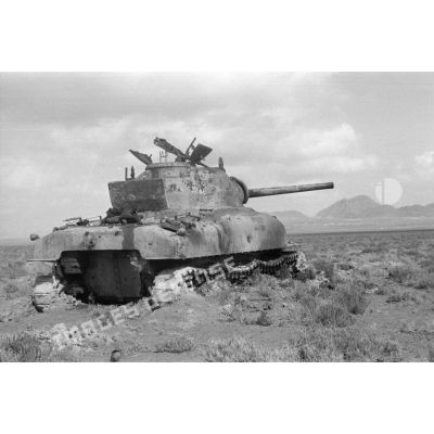 La carcasse  du char Sherman M4A1 américains Dixie Belle, numéro de série 3014969.