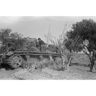 Un char Panzer III (Pz-III) camouflé entre deux arbres.