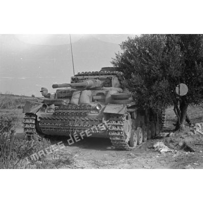 Un char Panzer III (Pz-III) camouflé entre des arbres, il s'agit d'un Pz-III Ausf-L.