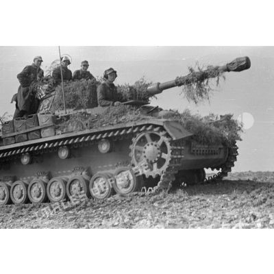 Un Panzer IV (Pz-IV Ausf-F2 ou Ausf-G).